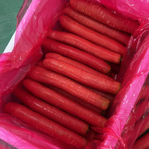 红萝卜，2023陕西渭南水果红萝卜，质量好货源足价格实惠