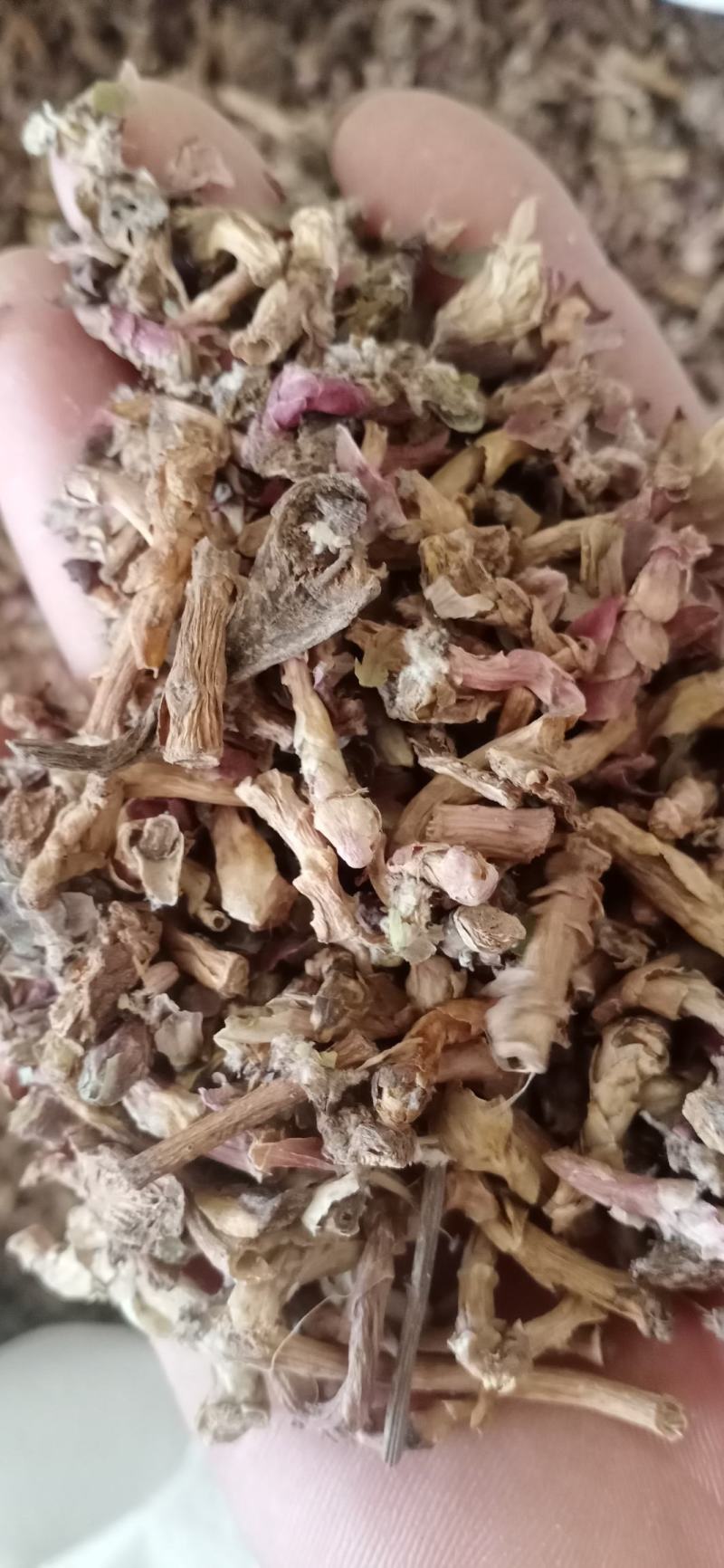 【款冬花】.中药材批发.质量保证规格齐全.