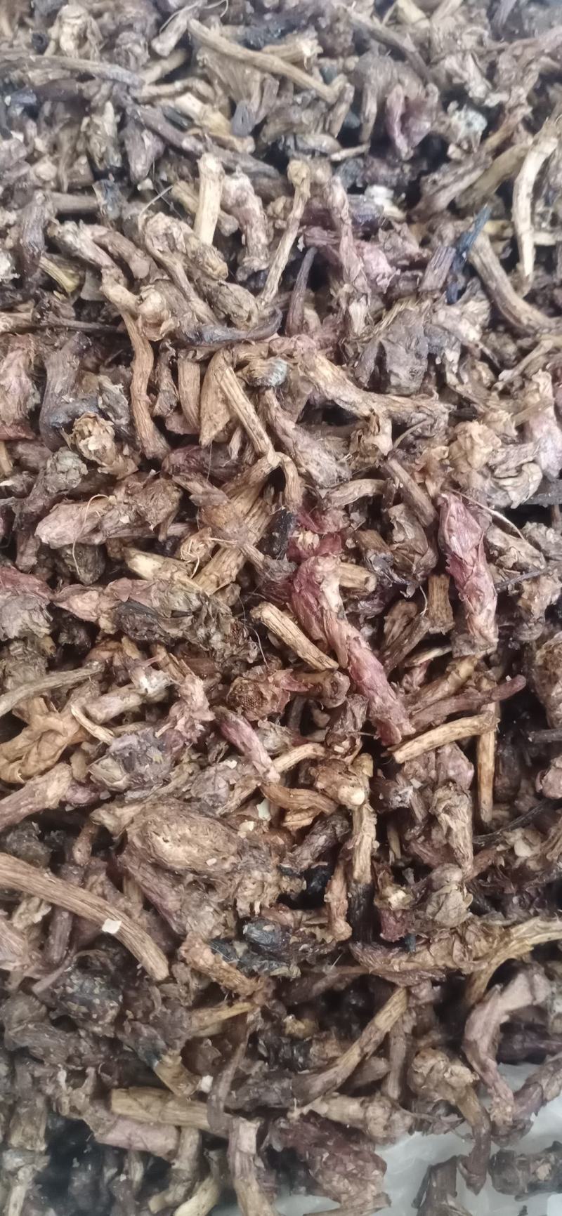 【款冬花】.中药材批发.质量保证规格齐全.