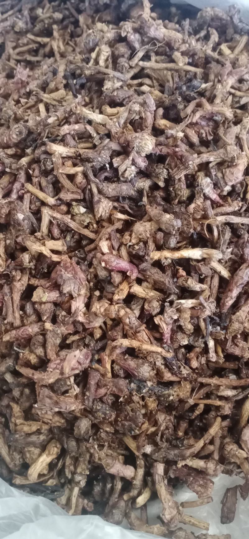 【款冬花】.中药材批发.质量保证规格齐全.