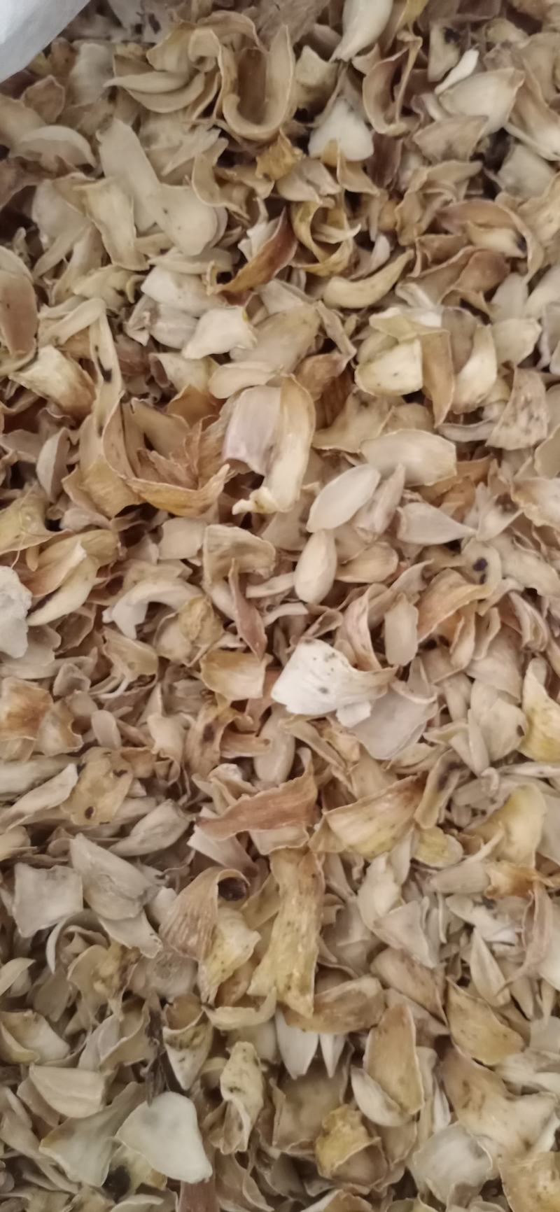 【百合】药食两用.中药材批发.质量保证规格齐全.