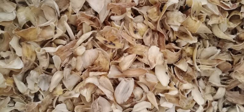【百合】药食两用.中药材批发.质量保证规格齐全.