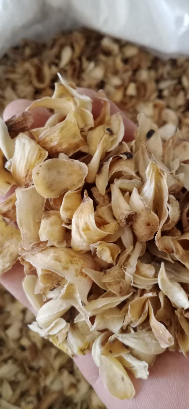 【百合】药食两用.中药材批发.质量保证规格齐全.