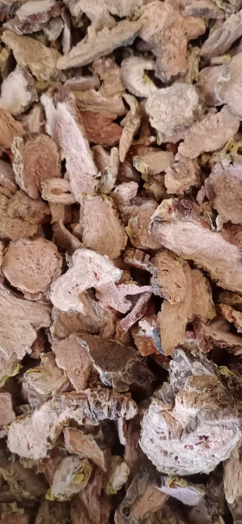 【大花红景天】产地西藏一手货源大货供应规格齐全量大优惠。