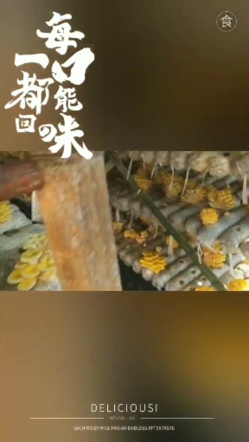 榆黄菇