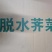 脱水荠菜