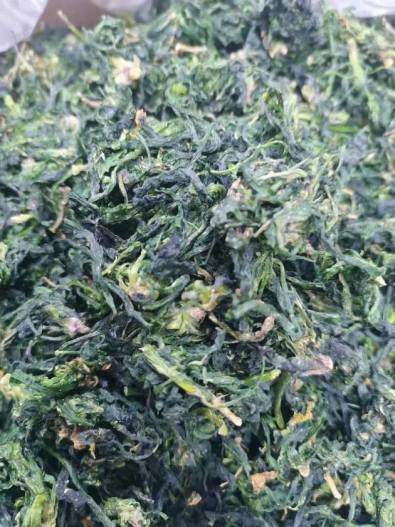 脱水荠菜