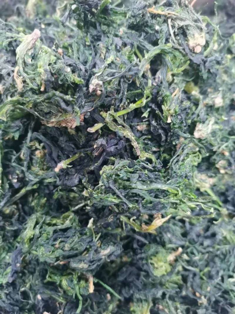 脱水荠菜
