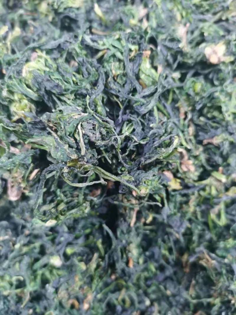 脱水荠菜