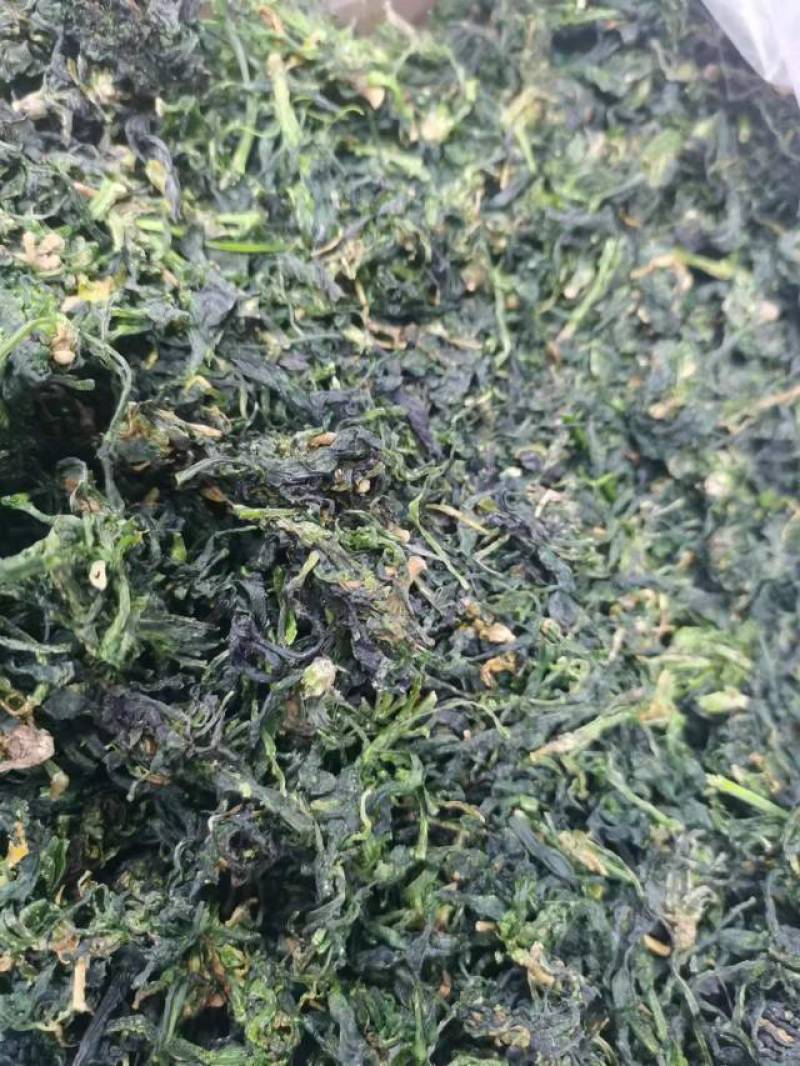 脱水荠菜