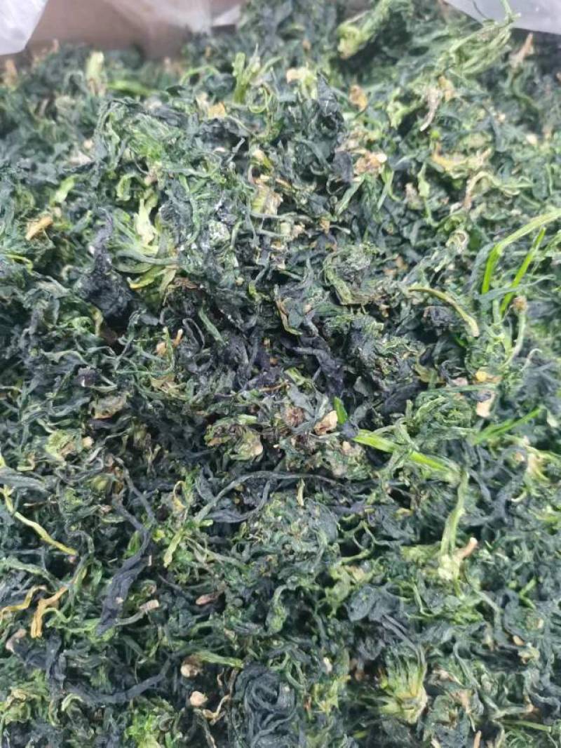 脱水荠菜