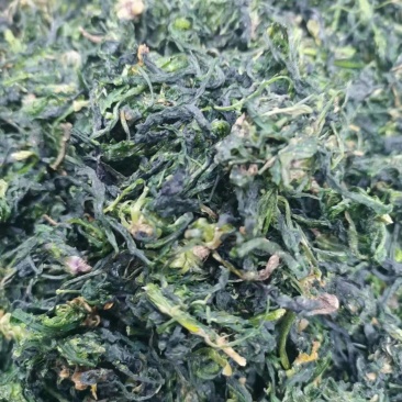 脱水荠菜