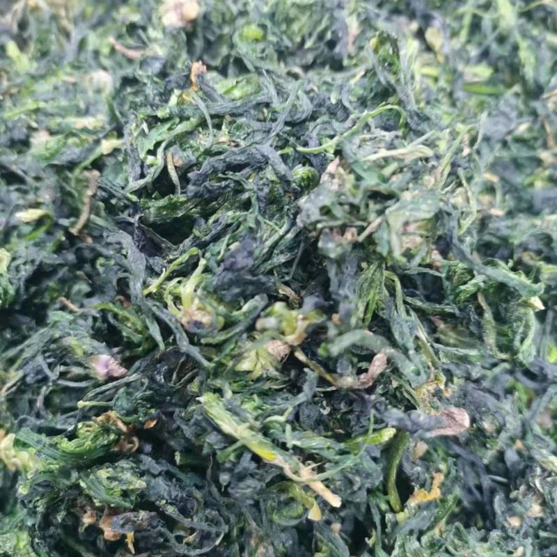 脱水荠菜