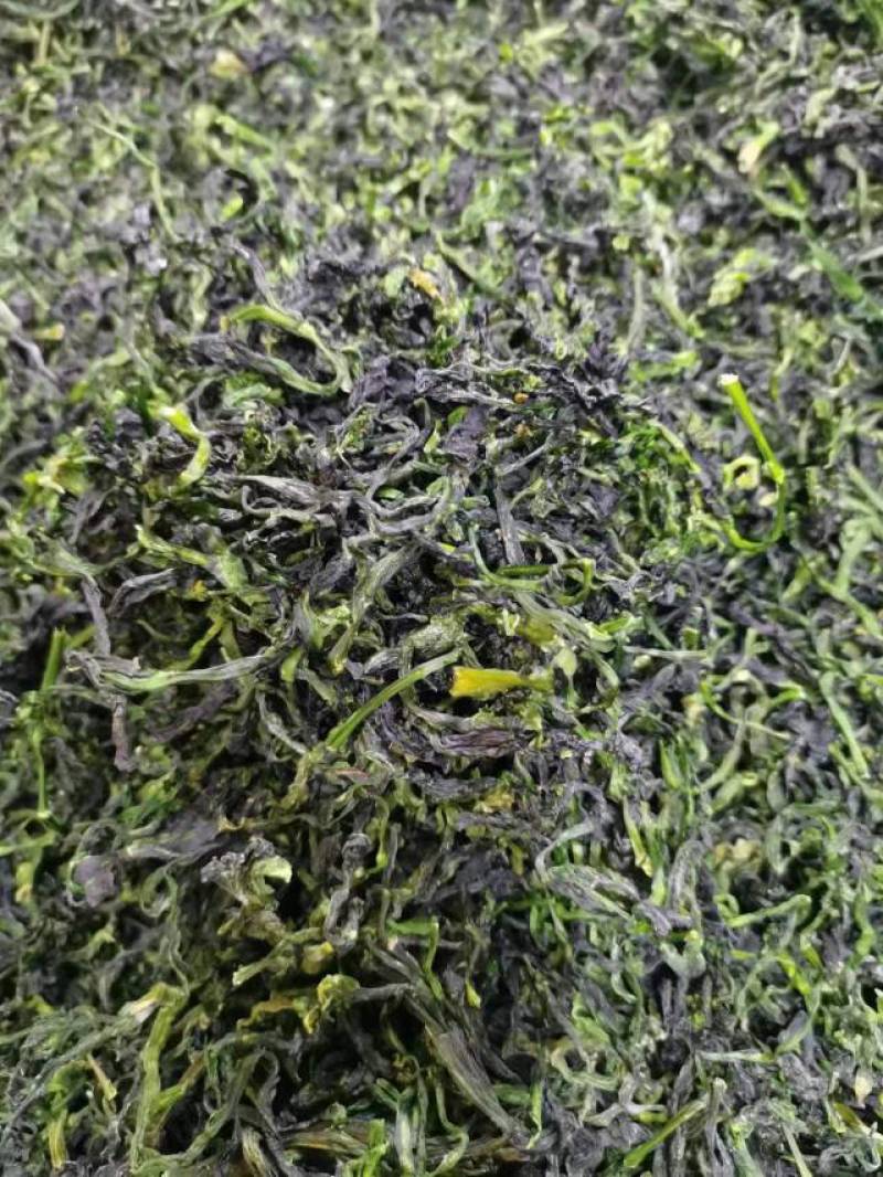 【推荐】脱水蔬菜整棵特级万年青，品质保证工厂直发