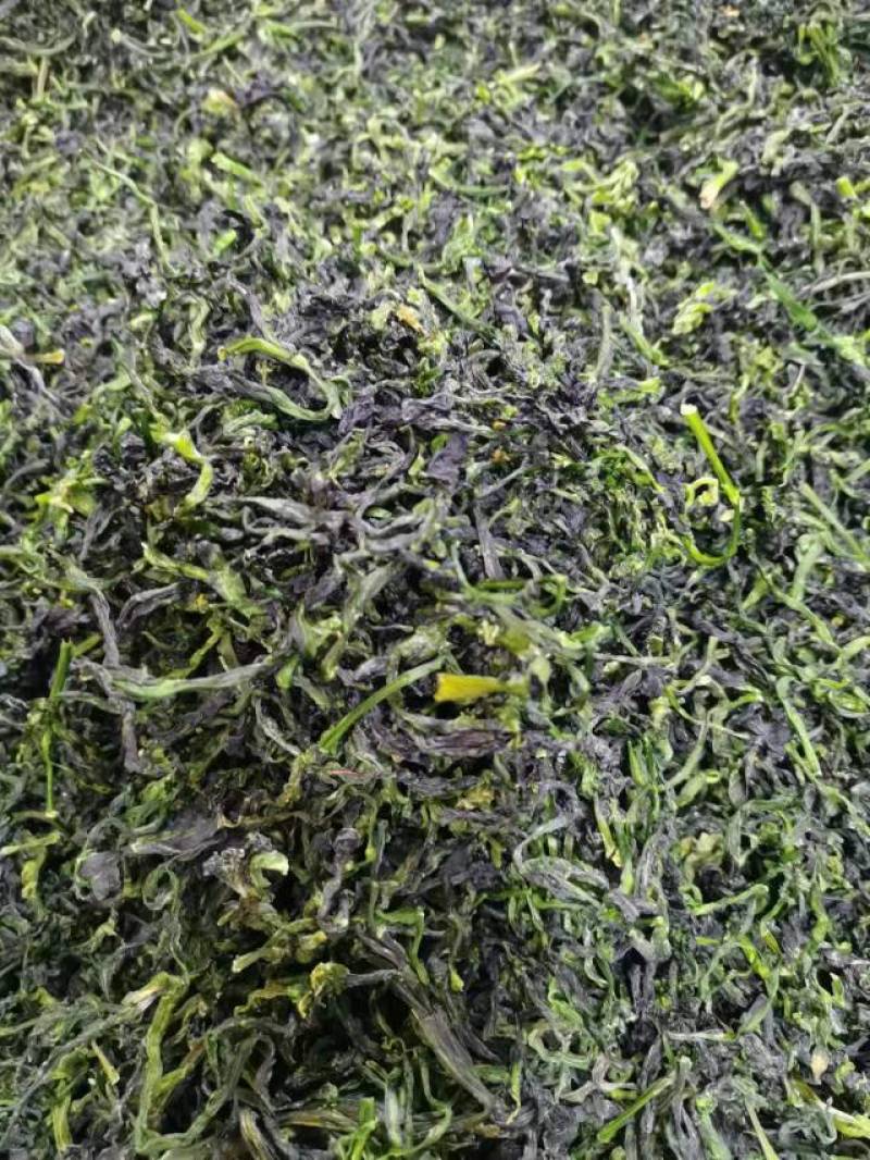 【推荐】脱水蔬菜整棵特级万年青，品质保证工厂直发