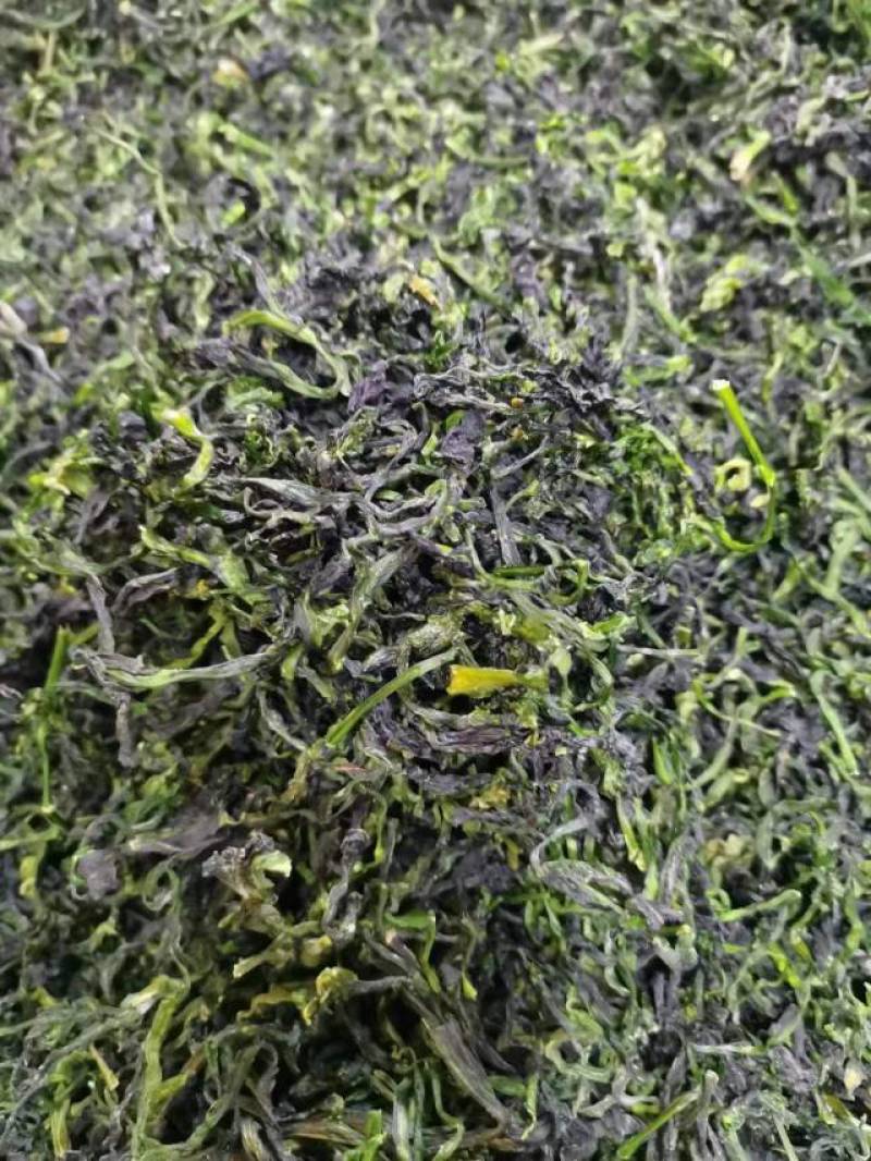 【推荐】脱水蔬菜整棵特级万年青，品质保证工厂直发