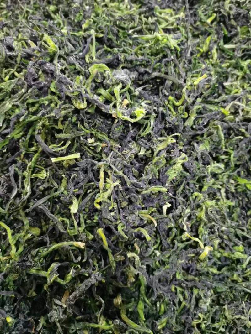 【推荐】脱水蔬菜整棵特级万年青，品质保证工厂直发