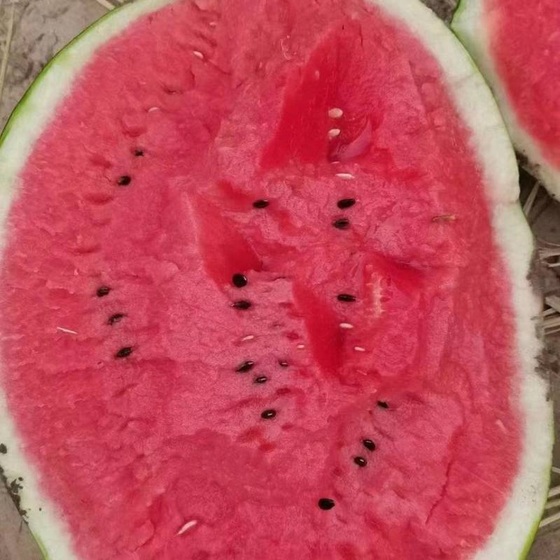 湖北麒麟西瓜产地货源充足，个头大，口感甜，产地一手货源。
