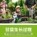 绿甘蓝菜种种苗包心菜种籽包心菜种子秋季籽种蔬菜苗孑菜籽卷