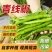新鲜青辣椒青线椒薄皮辣椒尖椒二荆条辣椒5斤现摘蔬菜辣椒长
