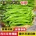 新鲜青辣椒青线椒薄皮辣椒尖椒二荆条辣椒5斤现摘蔬菜辣椒长