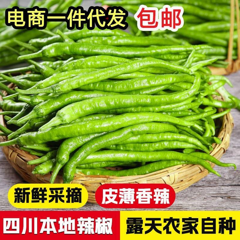 新鲜青辣椒青线椒薄皮辣椒尖椒二荆条辣椒5斤现摘蔬菜辣椒长