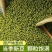 东北新鲜绿豆500g批发去皮绿豆农家自种五谷杂粮红豆绿
