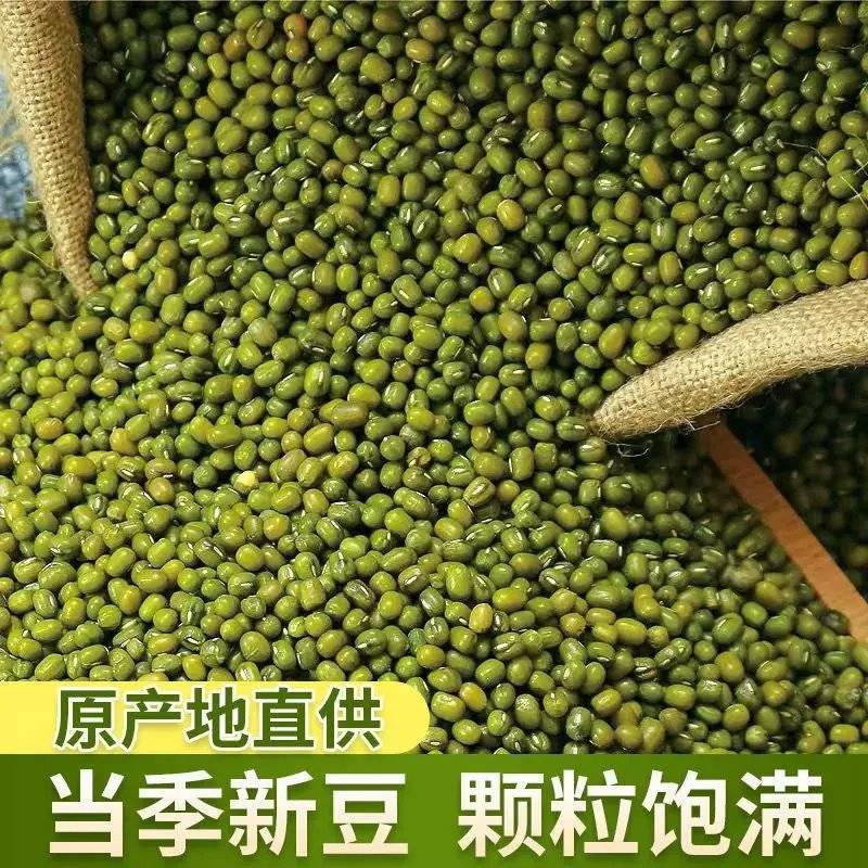 东北新鲜绿豆500g批发去皮绿豆农家自种五谷杂粮红豆绿