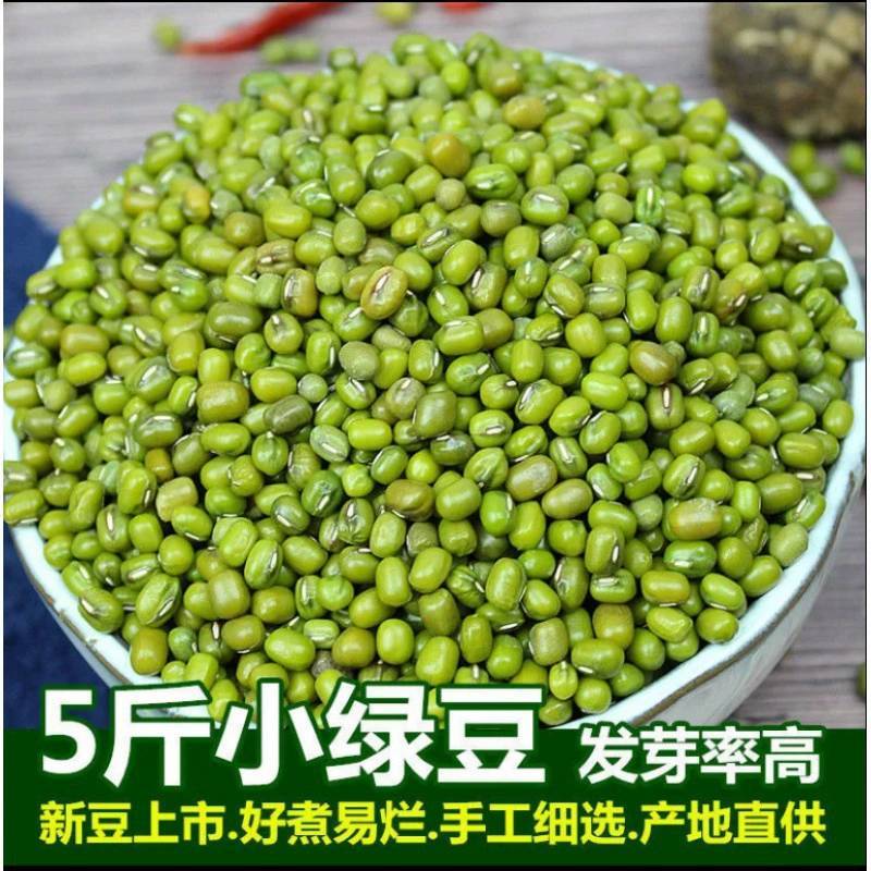 东北新鲜绿豆500g批发去皮绿豆农家自种五谷杂粮红豆绿