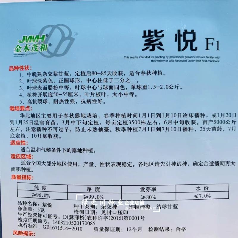 卡璐琪杂交紫甘蓝种子紫悦甘蓝种子紫色包头菜种子春秋播种