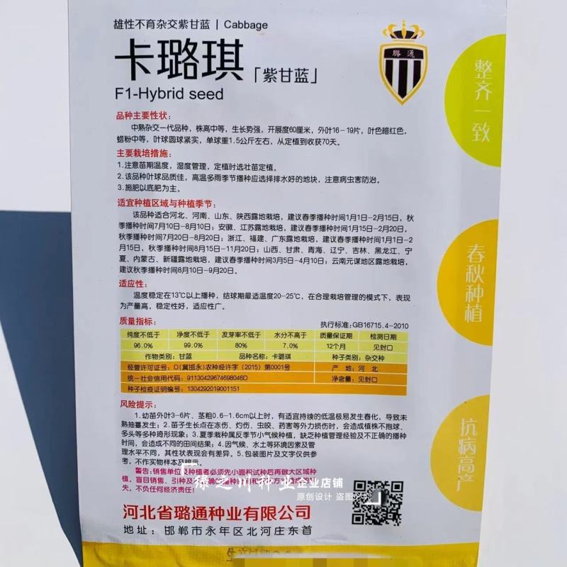 卡璐琪杂交紫甘蓝种子紫悦甘蓝种子紫色包头菜种子春秋播种