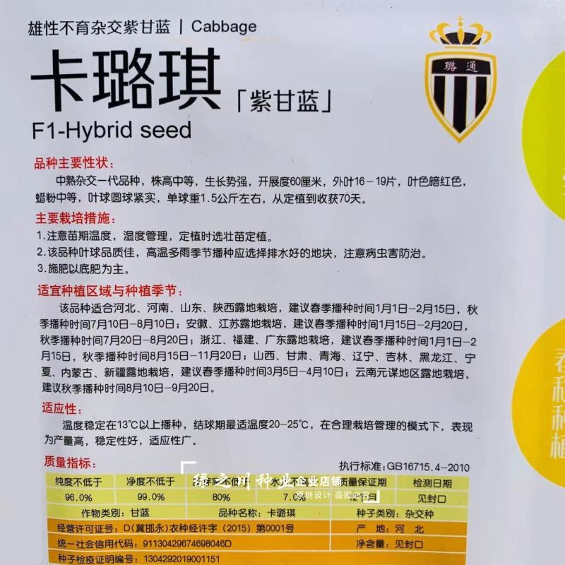 卡璐琪杂交紫甘蓝种子紫悦甘蓝种子紫色包头菜种子春秋播种