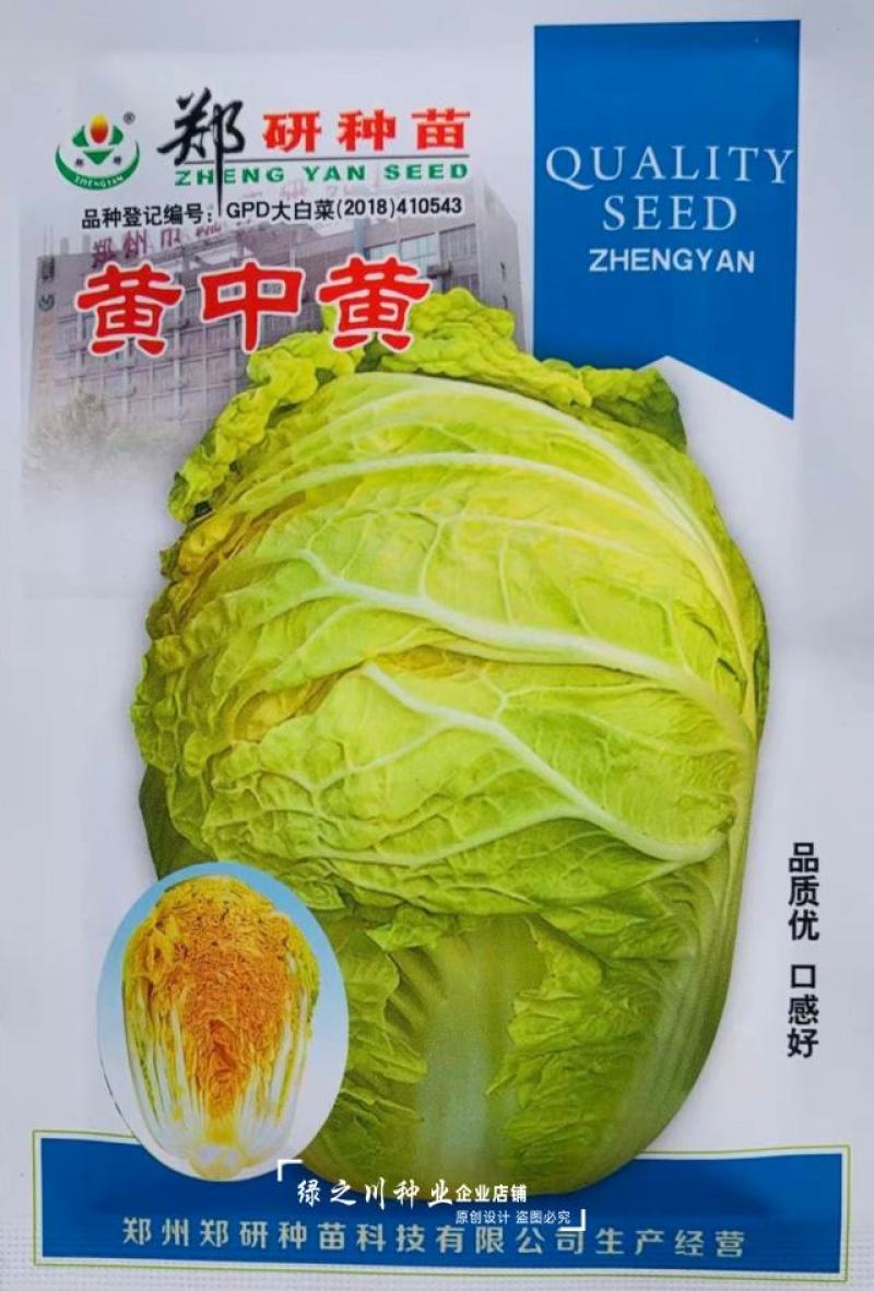 黄中黄橘红心大白菜种子中晚熟橘红彩色大白菜种籽营养价值高