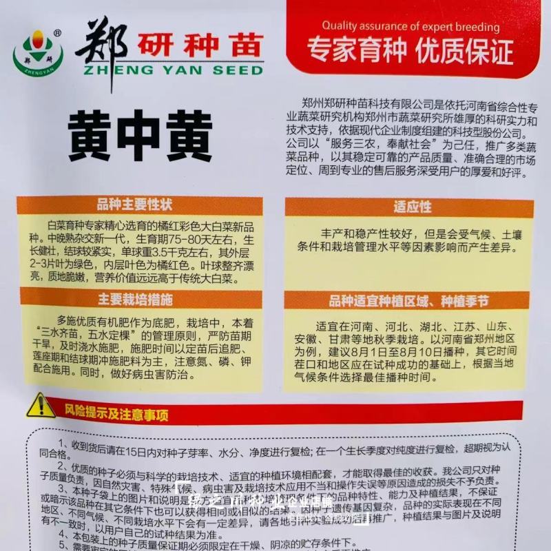 黄中黄橘红心大白菜种子中晚熟橘红彩色大白菜种籽营养价值高
