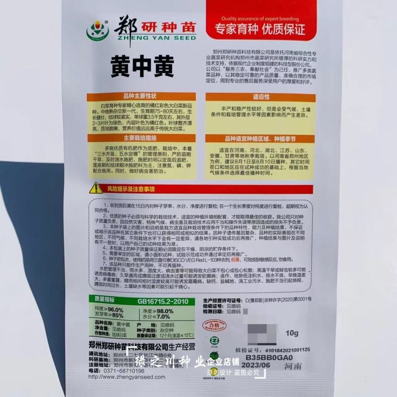 黄中黄橘红心大白菜种子中晚熟橘红彩色大白菜种籽营养价值高