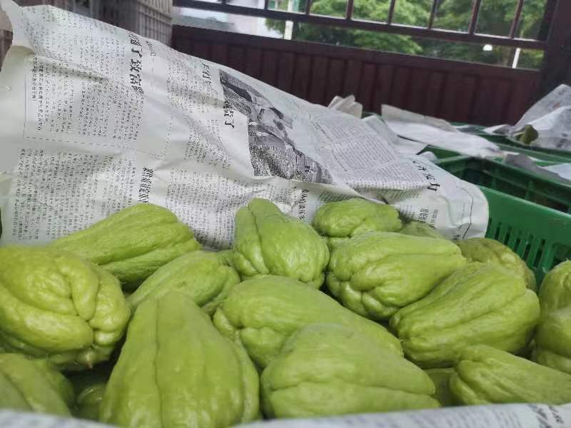 自产自销，保证质量