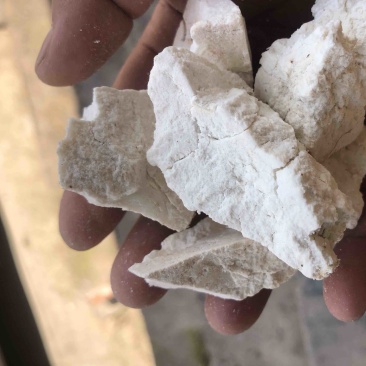 云南茯苓纯白块儿手工切块晒干
