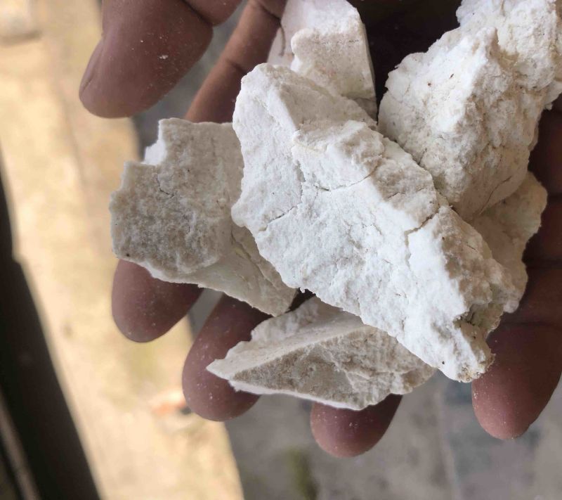 云南茯苓纯白块儿手工切块晒干