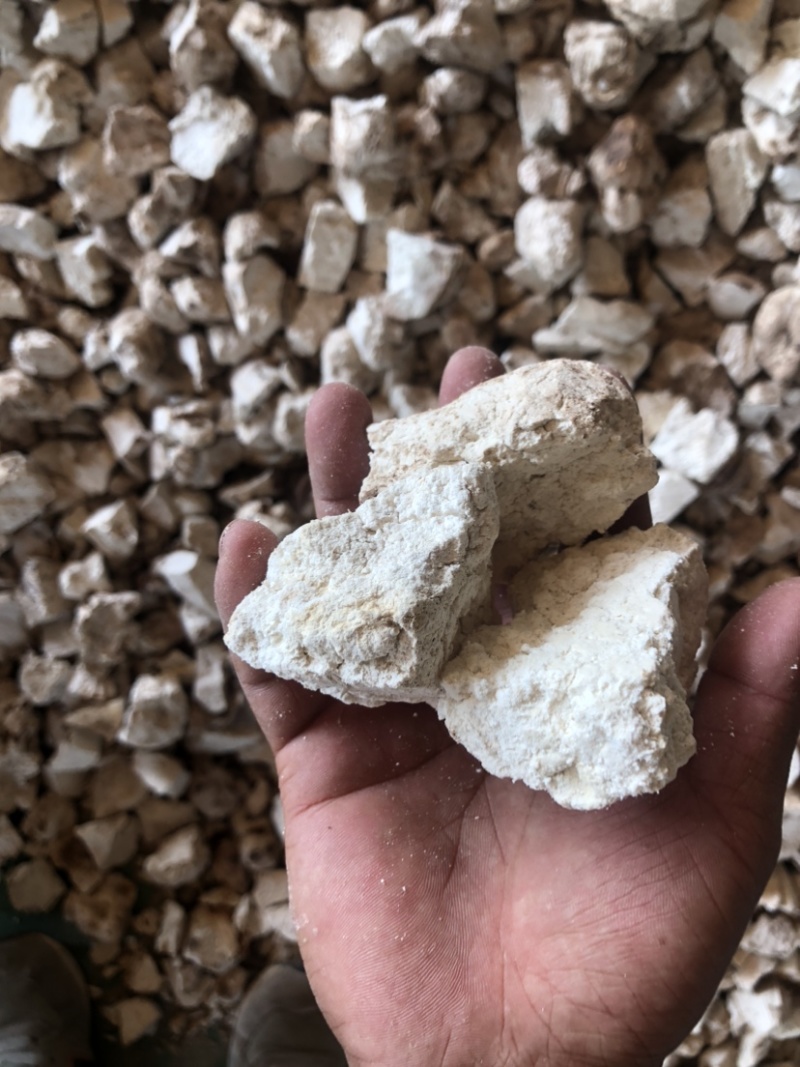 云南茯苓纯白块儿手工切块晒干