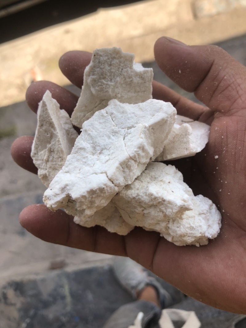 云南茯苓纯白块儿手工切块晒干