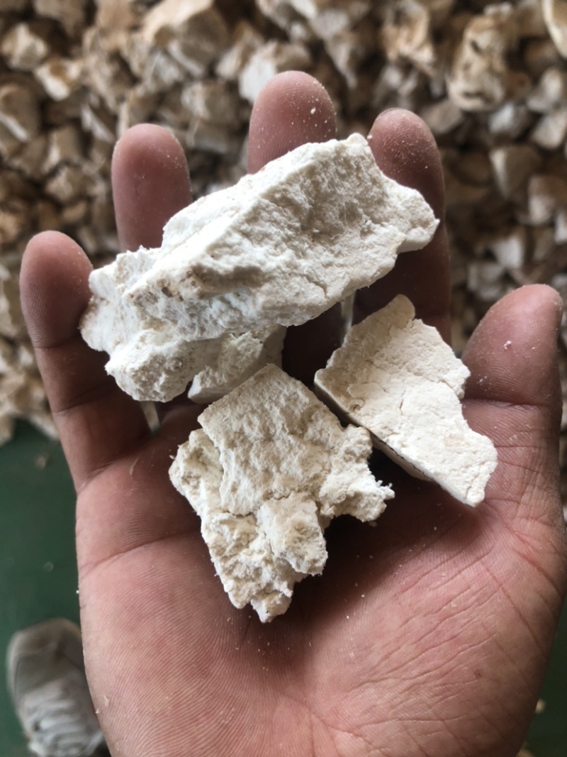 云南茯苓纯白块儿手工切块晒干
