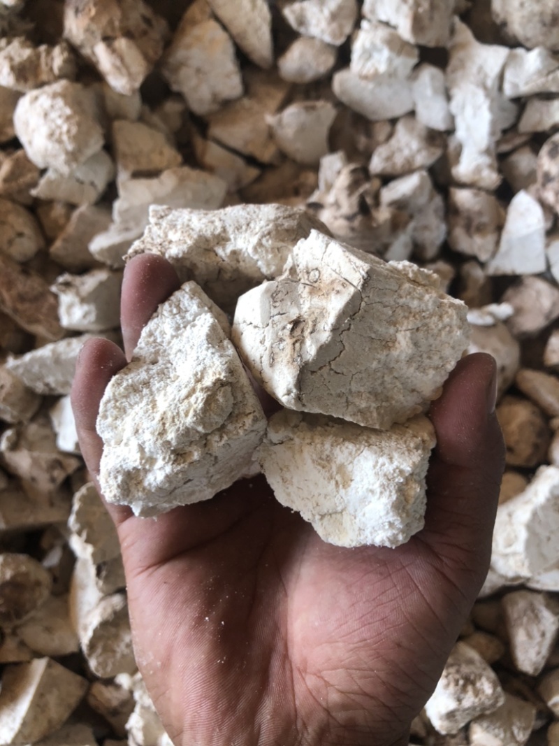 云南茯苓纯白块儿手工切块晒干