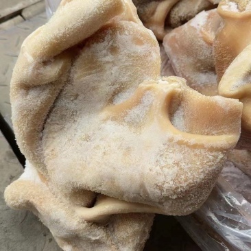 牛肚