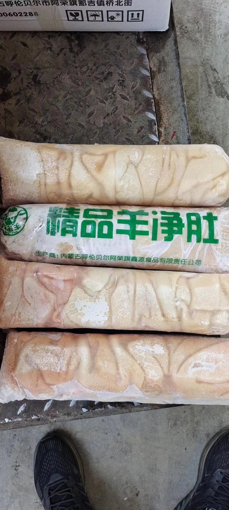 精品羊净肚
