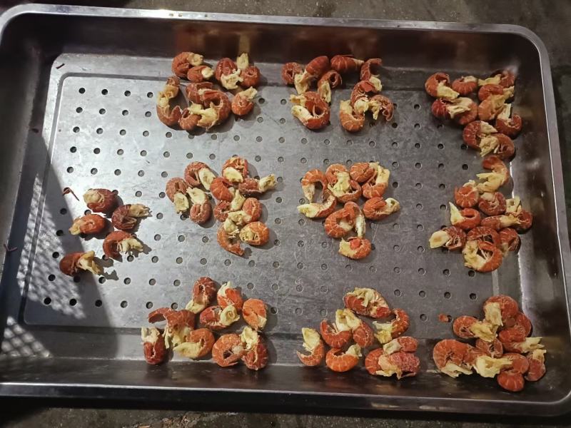 精品特级龙虾尾