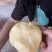 爆甜正宗水蜜桃