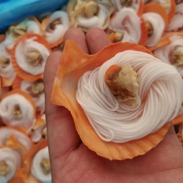7-8黄金粉丝扇贝