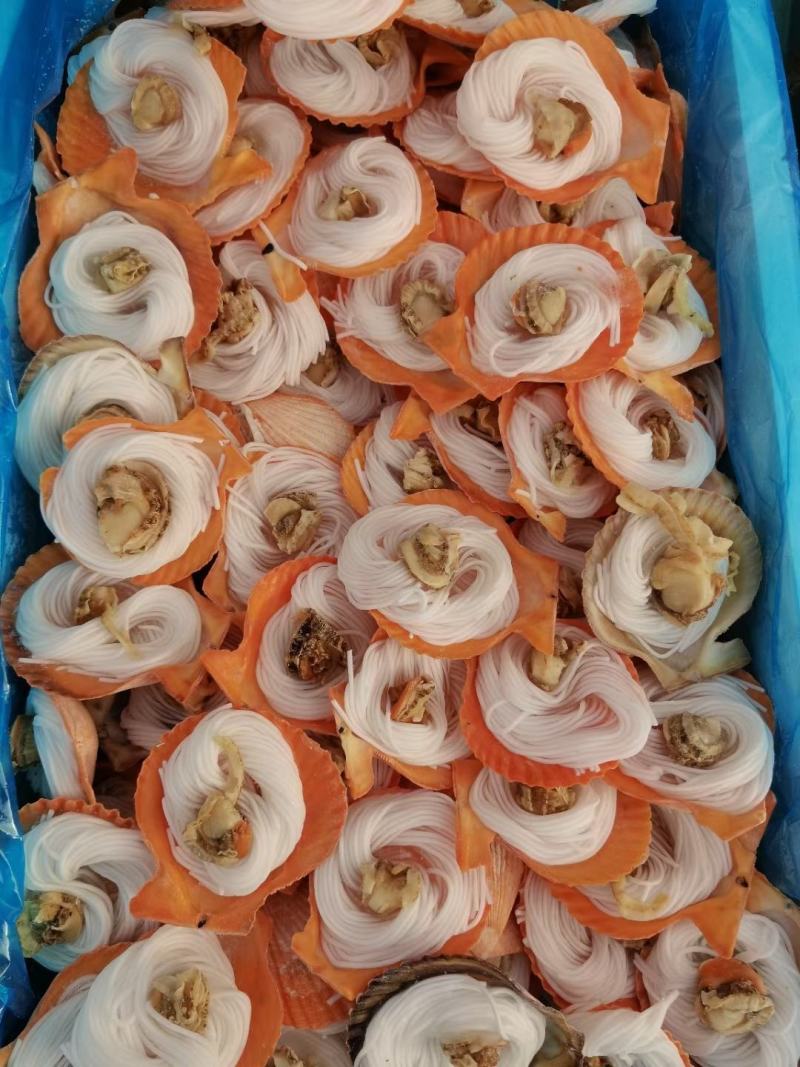 7-8黄金粉丝扇贝