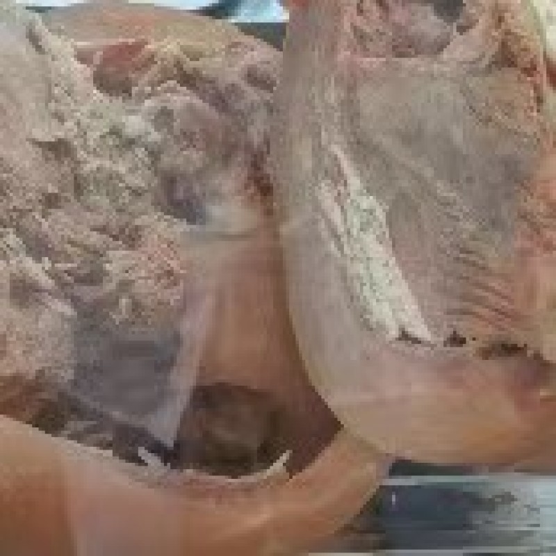 【精品】连云港小黄牛牛头肉，品质保证肉质好货量足欢迎选购