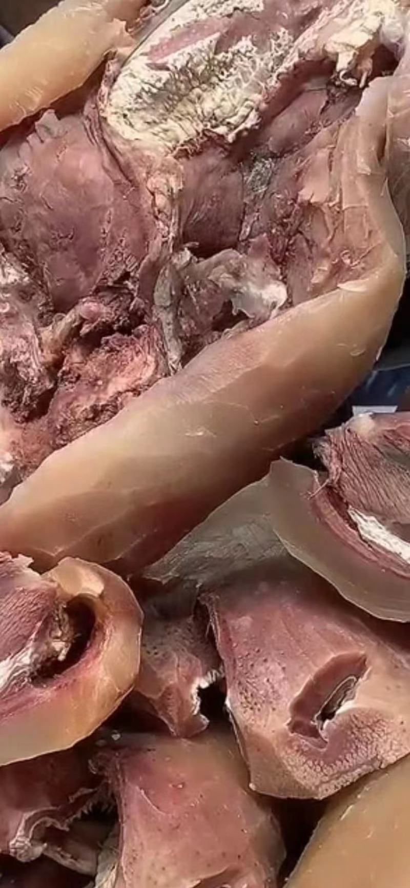 【精品】连云港小黄牛牛头肉，品质保证肉质好货量足欢迎选购